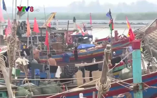 Sau bão, ngư dân Hà Tĩnh vươn khơi trúng đậm "lộc biển"