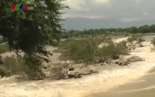 Ninh Thuận khẩn trương tìm kiếm thi thể các nạn nhân bị lũ cuốn trôi