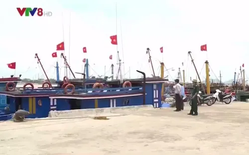 Hà Tĩnh xây dựng nông thôn mới tuyến biển