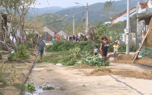 Nhanh chóng ổn định chỗ ở người dân sau bão số 12