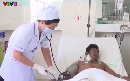 Khánh Hòa: Cấp cứu thành công bệnh nhân bị ong đốt hơn 50 mũi