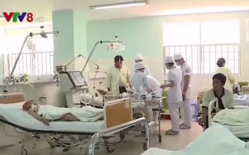 Khánh Hòa: Một người tử vong do bị ong đốt