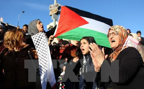 Các nước Arab đáp trả quyết định của Mỹ về Jerusalem ở HĐBA LHQ