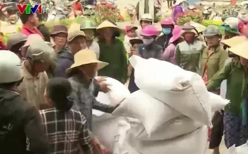 Bình Định cấp gạo cho người dân dịp Tết Nguyên đán