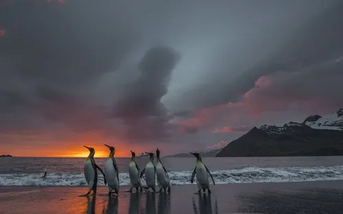 Điều kỳ diệu của thế giới tự nhiên trong các bức ảnh ngoạn mục