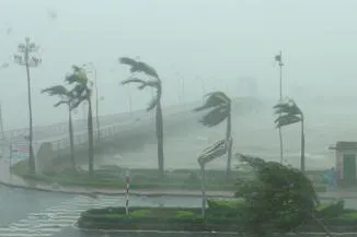 Quảng Bình: Nhiều cổng chào, cây xanh ngã đổ do bão số 10