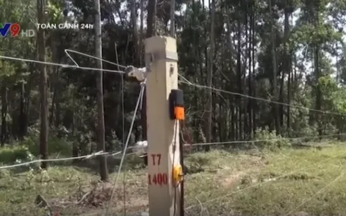 Đồng Nai chạy thử nghiệm hàng rào điện từ bảo vệ voi rừng
