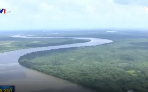 Brazil: Tranh cãi xung quanh quyết định mở rừng Amazon để khai thác tài nguyên