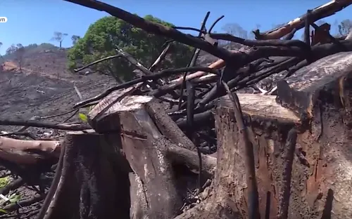 Bình Định: Đề nghị kiểm điểm, khiển trách các cán bộ huyện An Lão