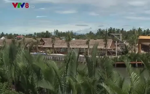 Quảng Nam triển khai dự án trồng và phục hồi rừng dừa nước