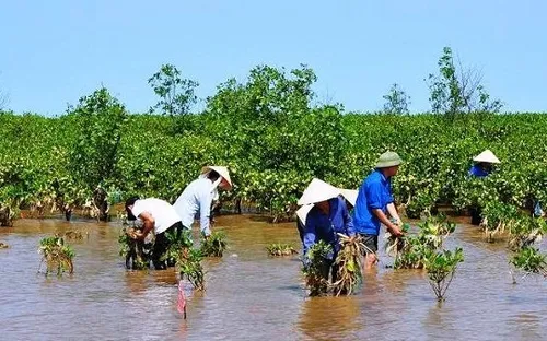 Quảng Ngãi đầu tư 35 tỷ đồng ứng phó biến đổi khí hậu