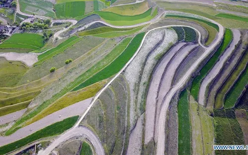 Ngắm những đồi ruộng bậc thang ngút ngàn ở Trung Quốc