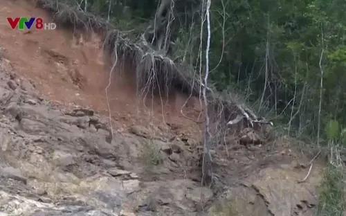 Sạt lở đe dọa cuộc sống người dân vùng cao A Lưới (Thừa Thiên Huế)