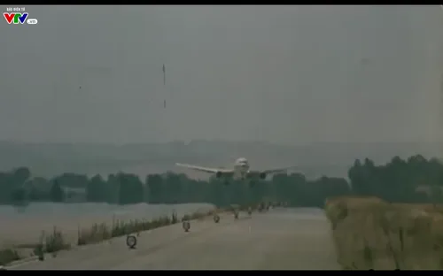 Điện ảnh chiều thứ bảy - Phim truyện Việt Nam "Bông sen"