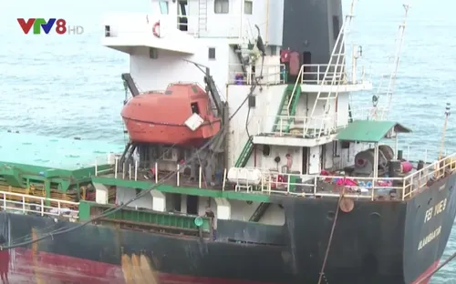 Đẩy nhanh tiến độ hút dầu trên các tàu hàng bị chìm ở Quy Nhơn