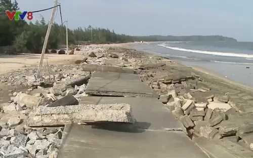 Quảng Nam: Khẩn cấp "cứu" đê biển Tam Hải bị sóng đánh hỏng