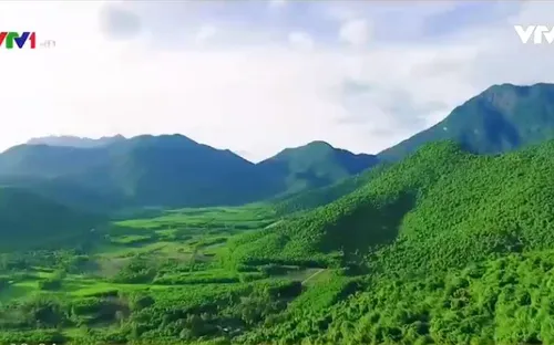 Khám phá Bạch Mã - Cung đường du lịch xanh