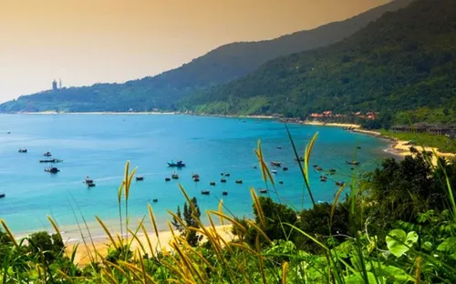 Hành trình "Tôi yêu Sơn Trà" thu hút nhiều phụ huynh và học sinh