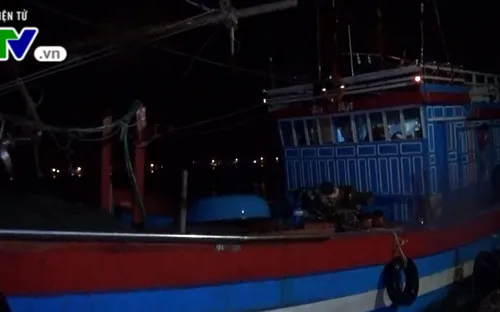 Kịp thời cứu 6 ngư dân tàu cá Quảng Ngãi gặp nạn trên biển