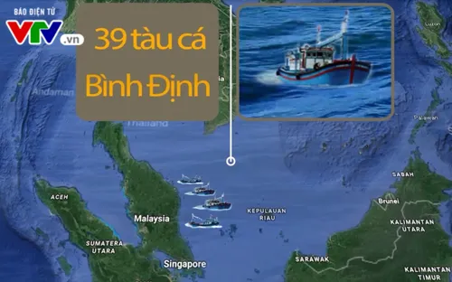 Bình Định đề nghị Malaysia hỗ trợ cho tàu cá trú bão
