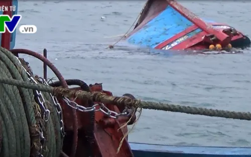 Cứu nạn 6 thuyền viên của tàu cá Khánh Hòa bị chìm trên vùng biển Ninh Thuận