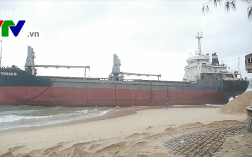 Hoàn thành trục vớt thêm 2 tàu hàng chìm tại vịnh Quy Nhơn, Bình Định