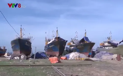 Bình Định sẽ hỗ trợ ngư dân kiện ra tòa nếu công ty đóng tàu không hỗ trợ