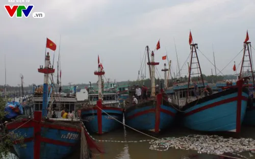 Thanh Hóa còn 3 phương tiện tàu thuyền với 33 lao động chưa liên lạc được