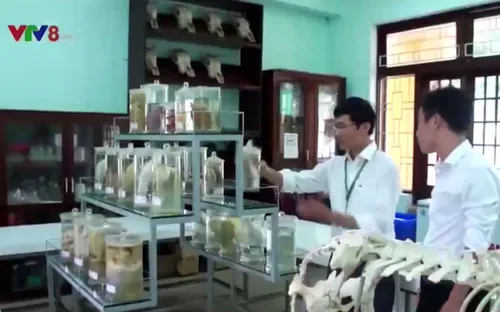 Nhu cầu nhân lực ngành chăn nuôi công nghệ cao lên đến hàng triệu sau 3 năm