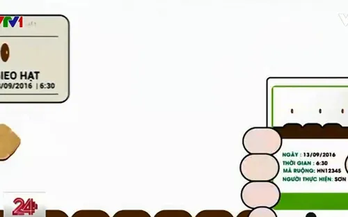 Người dân TP.HCM hết lo về nguồn gốc rau củ quả