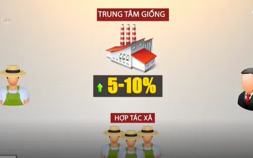 Liên kết nông dân với doanh nghiệp trong sản xuất, tiêu thụ nông sản