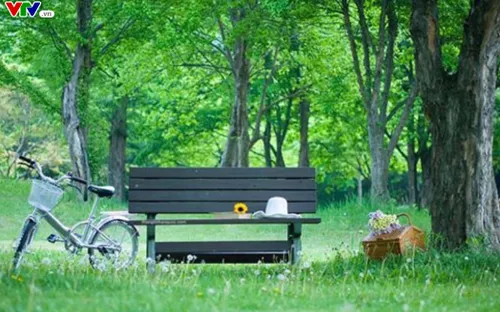 Khám phá Hàn Quốc