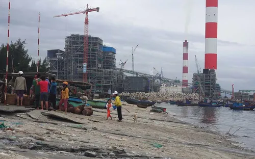 Bình Thuận: Cá, sò chết bất thường tại khu vực biển Vĩnh Tân