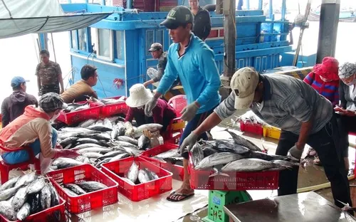 Yêu cầu báo cáo định kỳ kết quả quan trắc chất lượng biển miền Trung