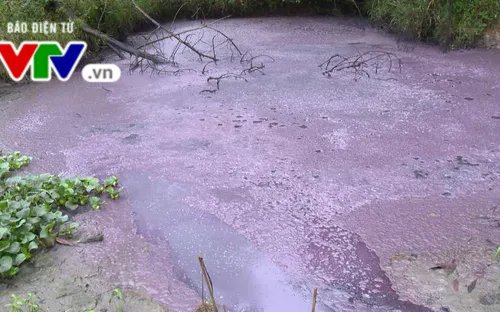 Thừa Thiên - Huế: Nước suối chuyển màu tím đỏ do nhà máy giấy vàng mã