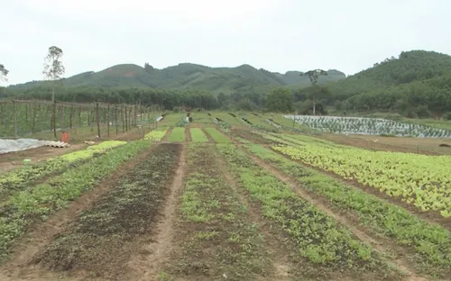 Lần đầu tiên nông sản của người H'Rê có trong siêu thị