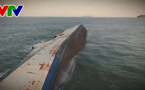 Tạm giữ các mẫu vật liên quan đến vụ chìm tàu ở Bình Định