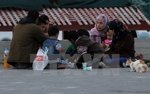 Tổng thống Mỹ nêu điều kiện duy trì các khoản viện trợ cho Palestine