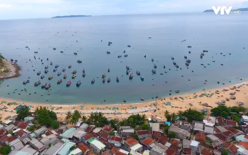 Chuyện Biển Chuyện Người: "Làng thuyền thúng" (19h30, thứ Ba, 30/1 trên VTV8)