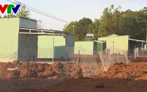 PTT Trịnh Đình Dũng yêu cầu kiểm tra thực trạng quản lý đất, rừng ở Tây Nguyên