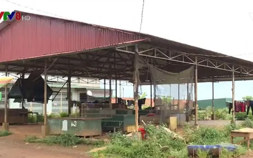 Chợ tự phát... lấn át chợ hợp pháp tại Tây Nguyên