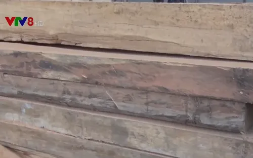 3,5 mét khối gỗ mặt phản chở "lậu" bị bắt giữ