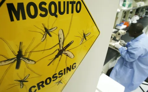 Tiêu diệt muỗi bằng cách chỉnh sửa gen