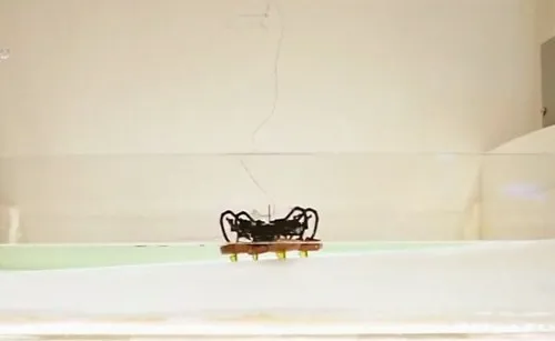 Robot đổ bộ có thể đi bộ và bơi trong nước