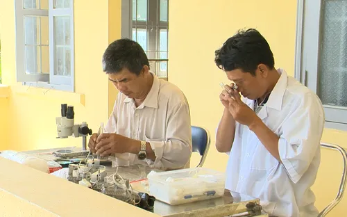 Số ca sốt rét liên tục tăng tại Phú Yên, Bộ Y tế khẩn trương vào cuộc xử lý