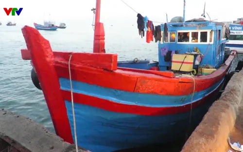 Thêm một tàu cá dùng súng điện khai thác hải sản bị tạm giữ