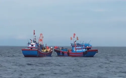 "Nóng" tình trạng khai thác tận diệt vùng biển Bắc Trung Bộ