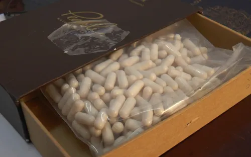 Đà Nẵng bắt đối tượng Việt kiều mua bán hàng trăm viên thuốc lắc từ nước ngoài về Việt Nam