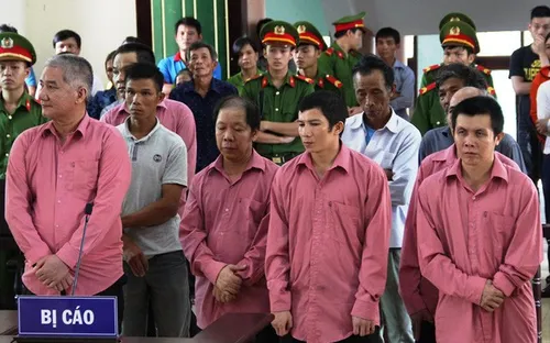 Tuyên phạt 9 bị cáo 81 năm tù về tội phá 64 ha rừng An Lão