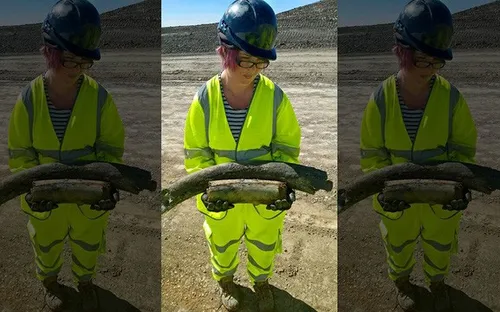 Phát hiện xương voi ma mút 130.000 năm tuổi khi… đào đường